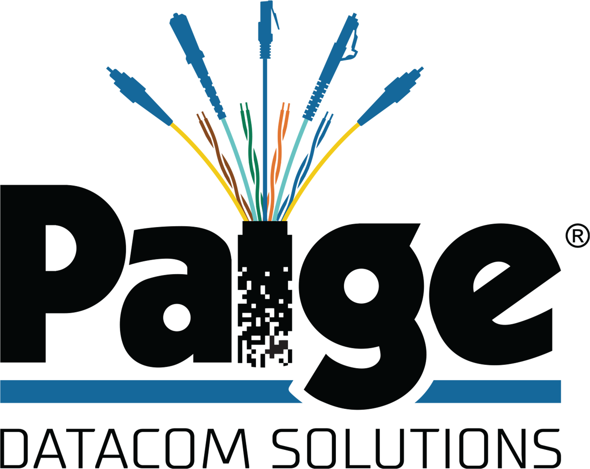 Paige Datacom Solutions logo