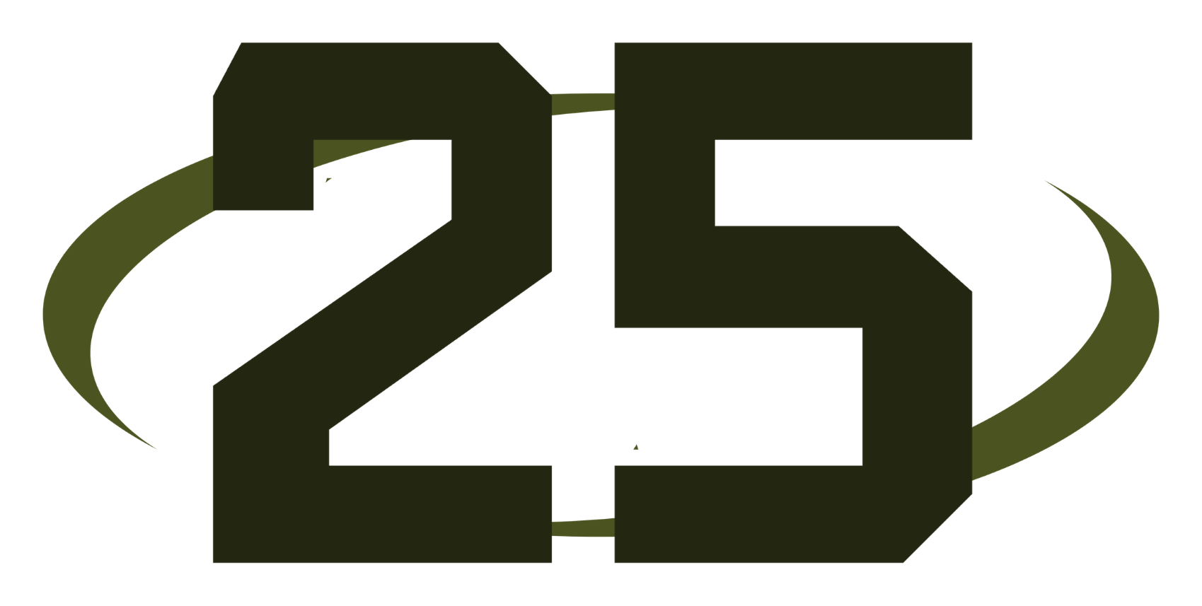 LRG 25th anniversary graphic